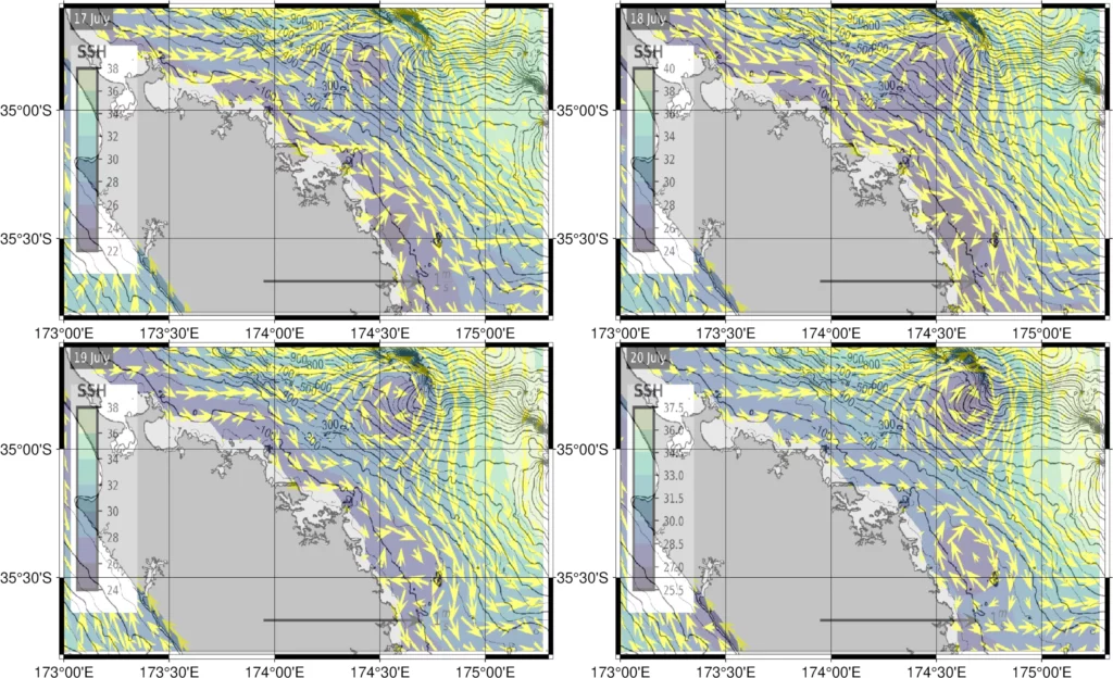 Bay of Islands currents