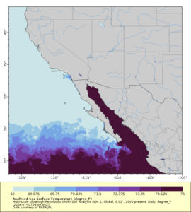 Optimal temperature range for striped marlin