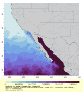 Temperature range for striped marlin