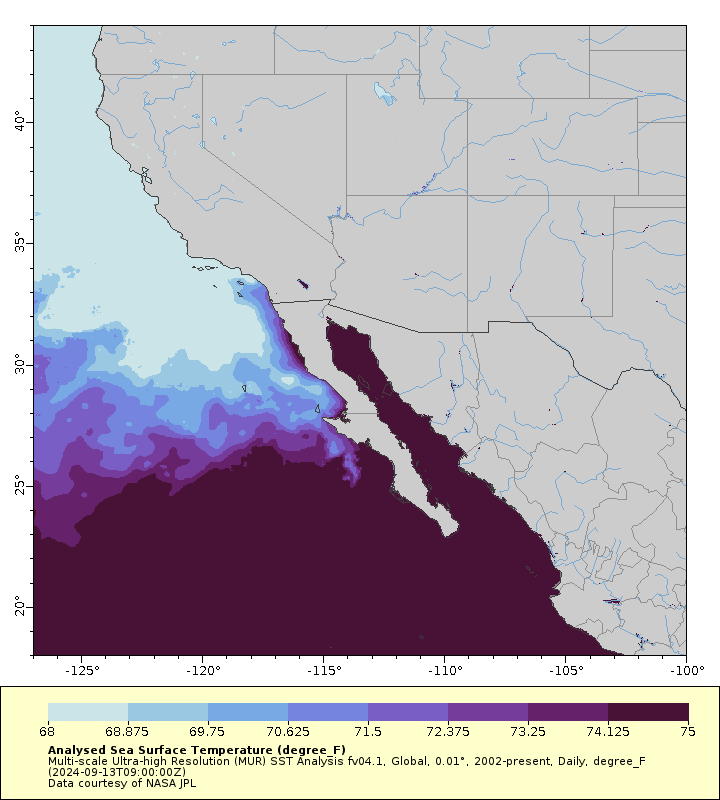 Striped marlin optimal temperature range off California and Baja