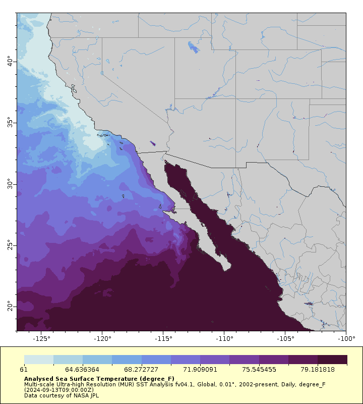 Striped marlin temperature range off California and Baja