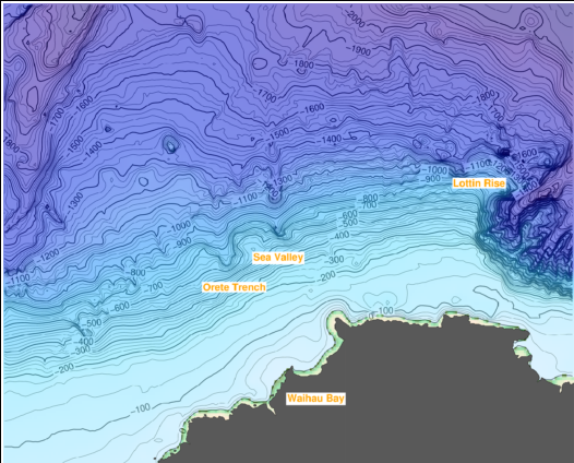 bathymetry waihau Bay