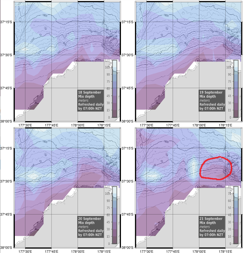 4 days mixed layer off Waihau Bay