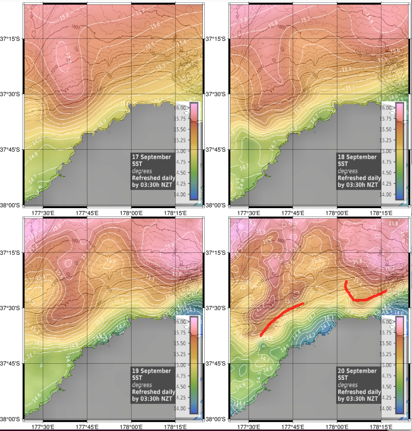 4 day SST