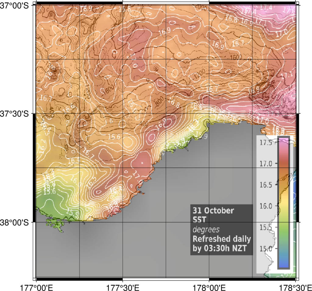 SST in waihau Bay, New Zealand