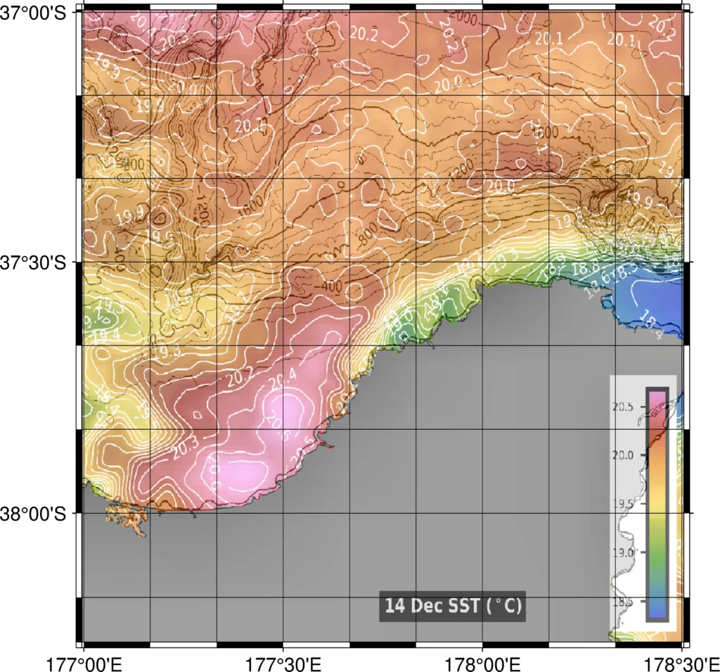 Waihau Bay complex SST structure