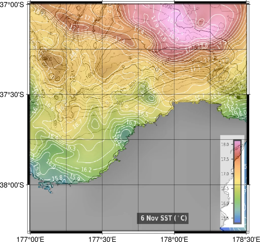 Waihau Bay SST low wind